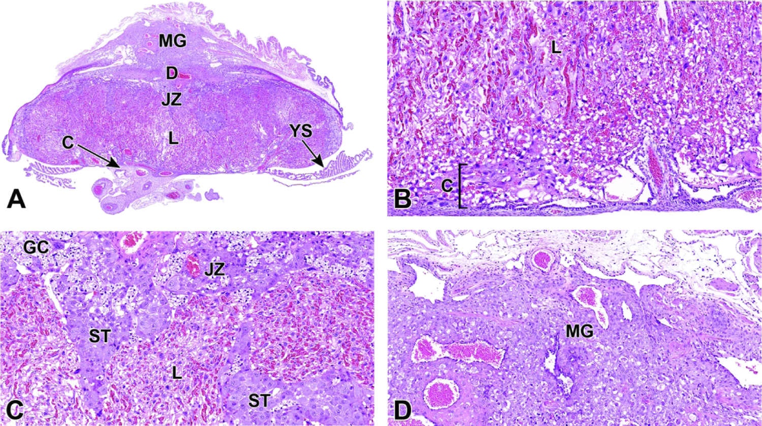 Figure 35.