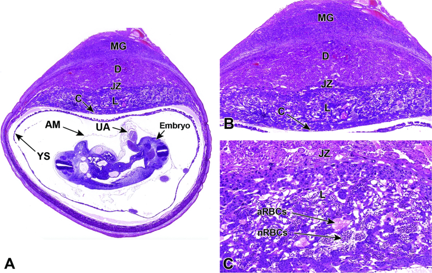 Figure 25.