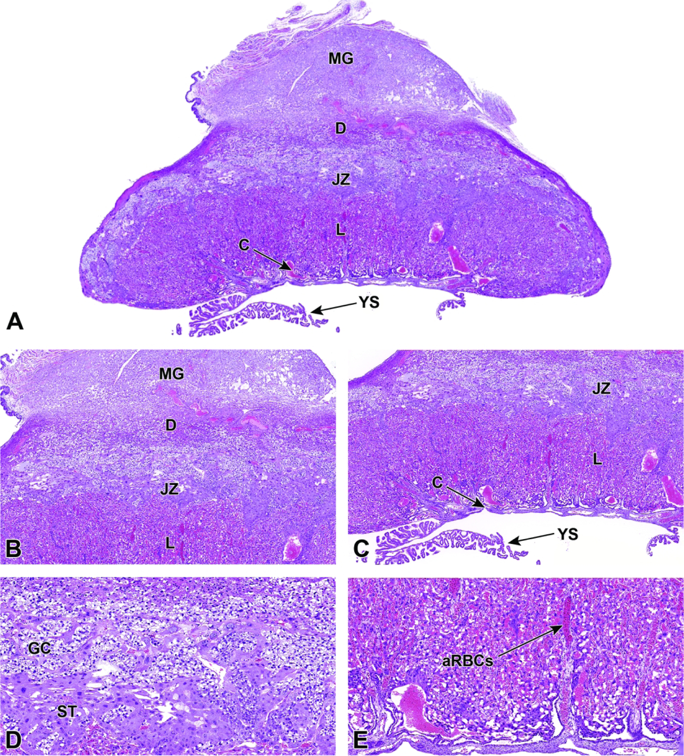 Figure 29.