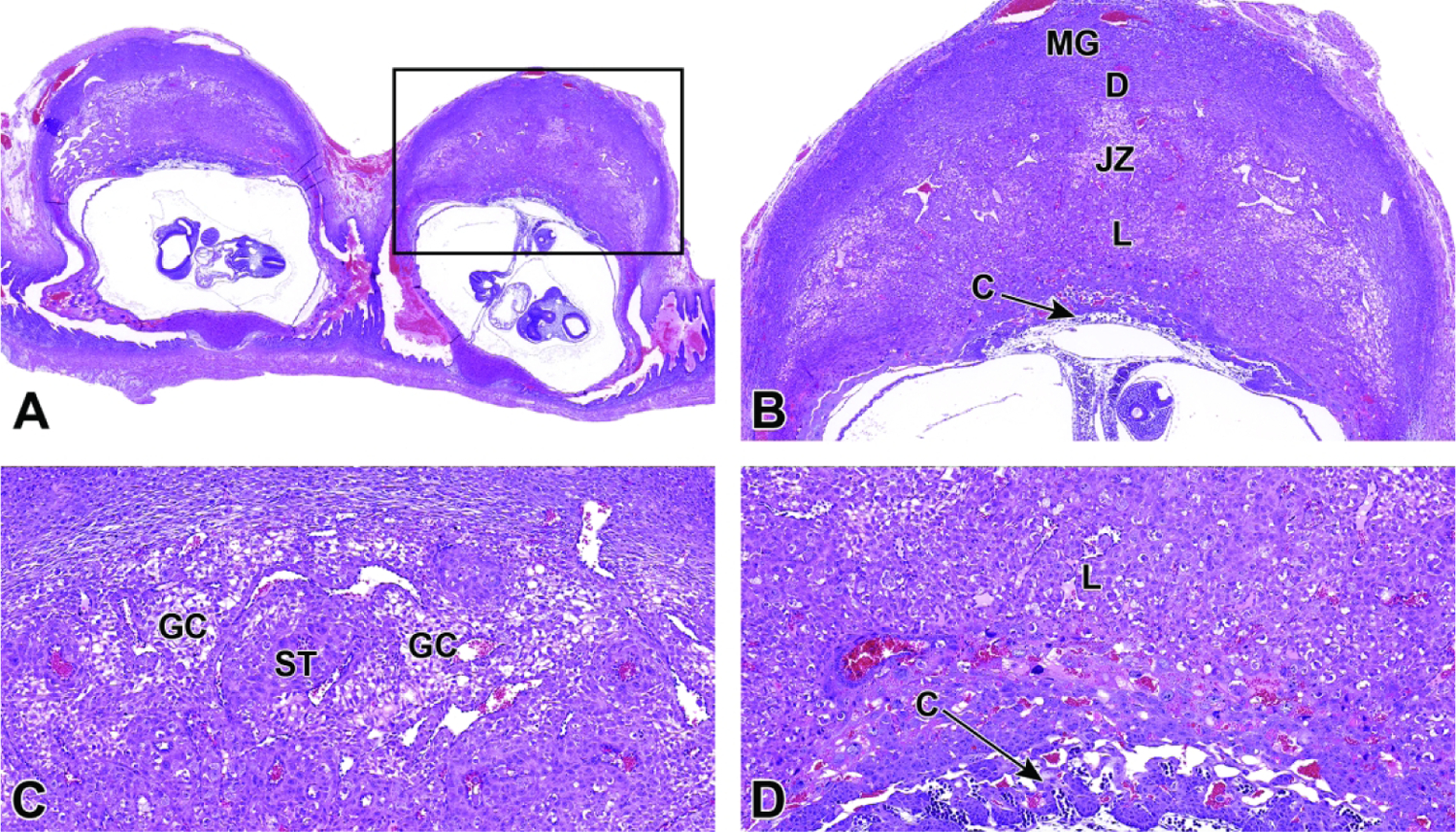 Figure 22.