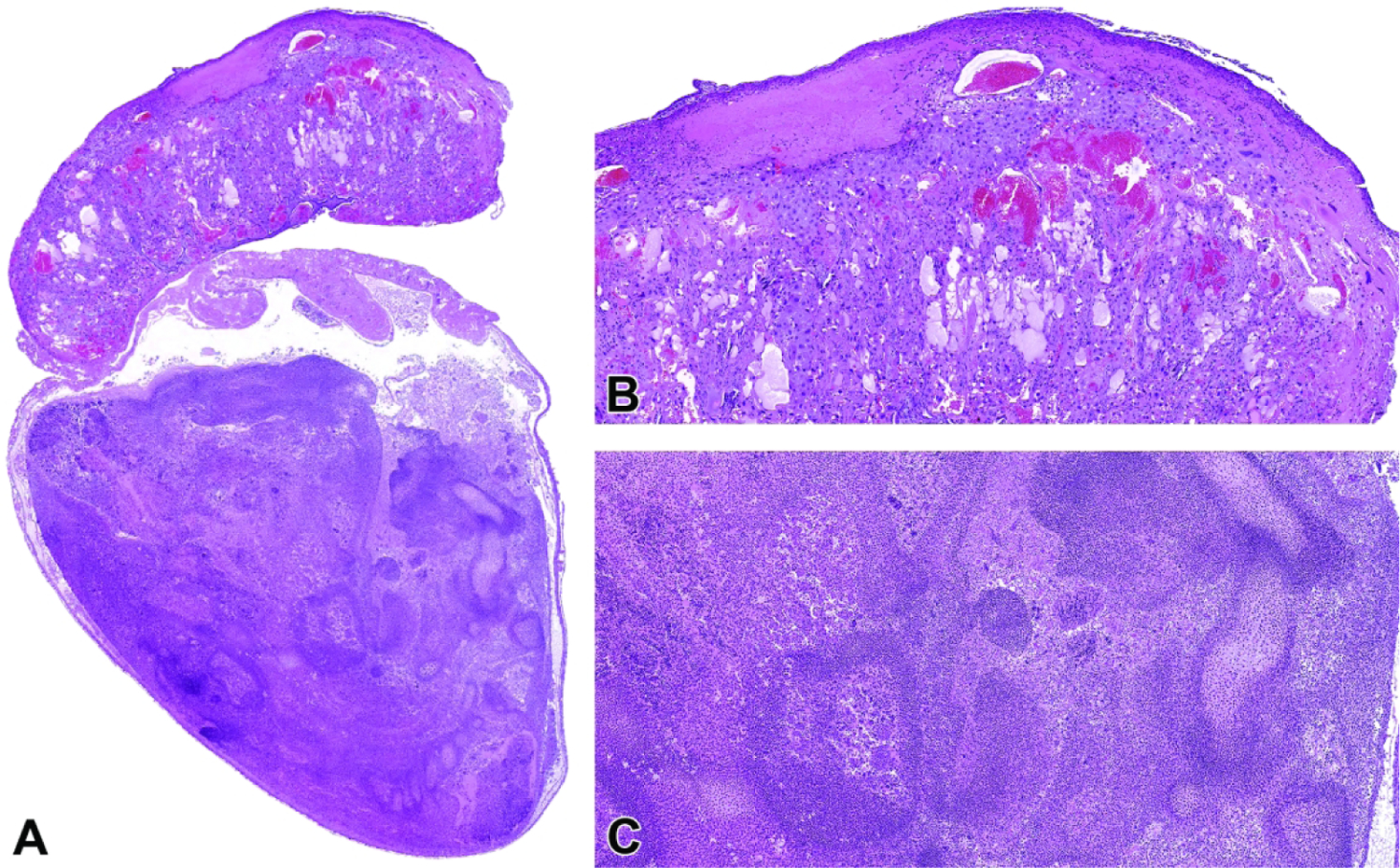 Figure 46.