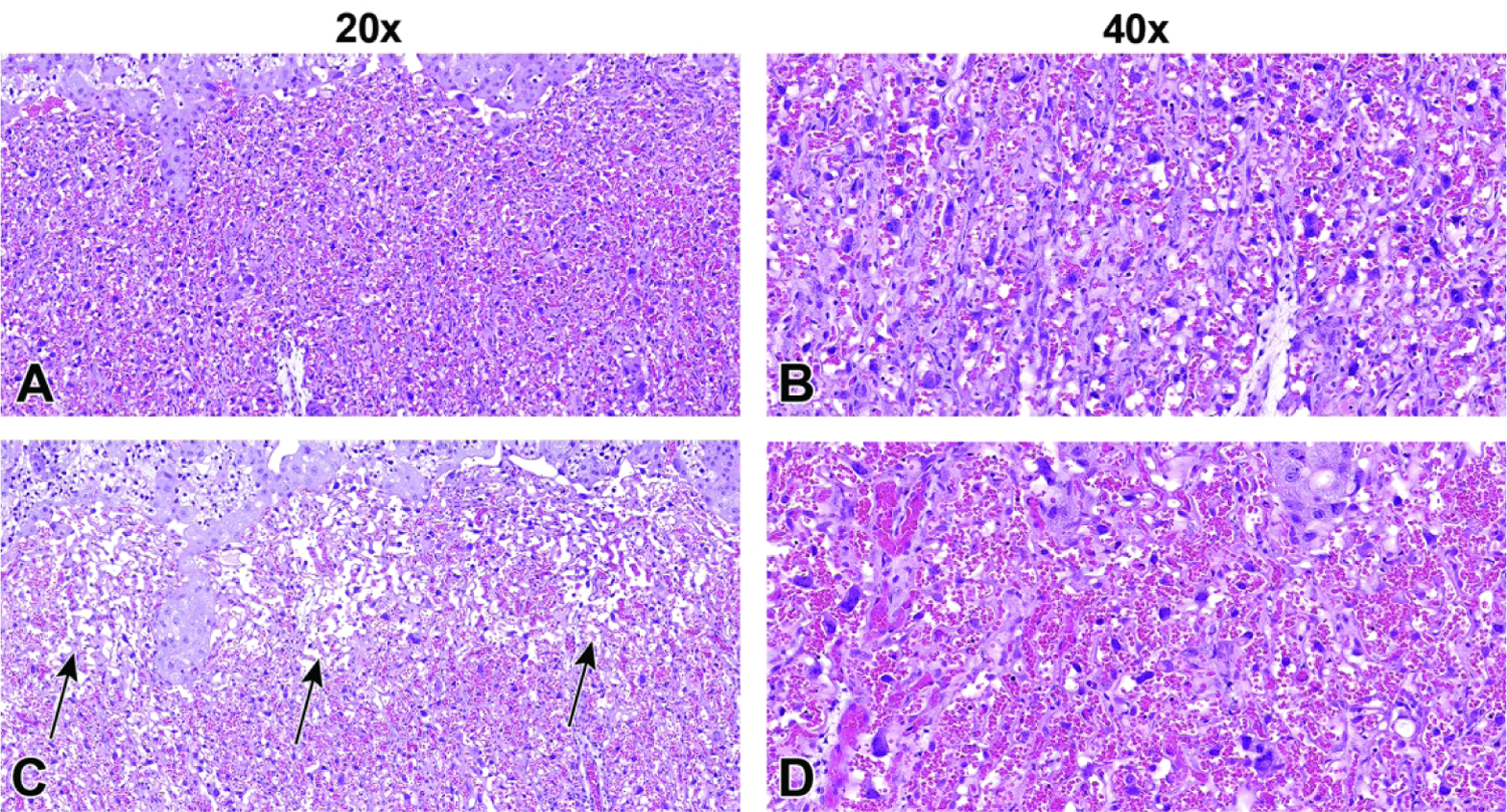 Figure 41.