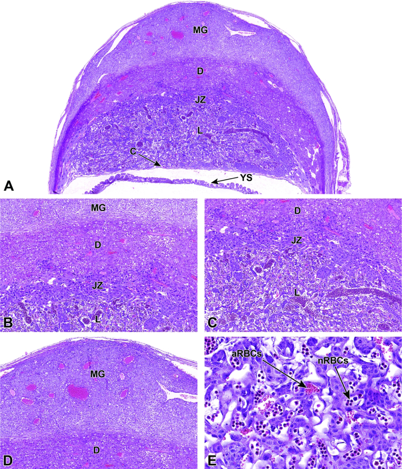 Figure 28.