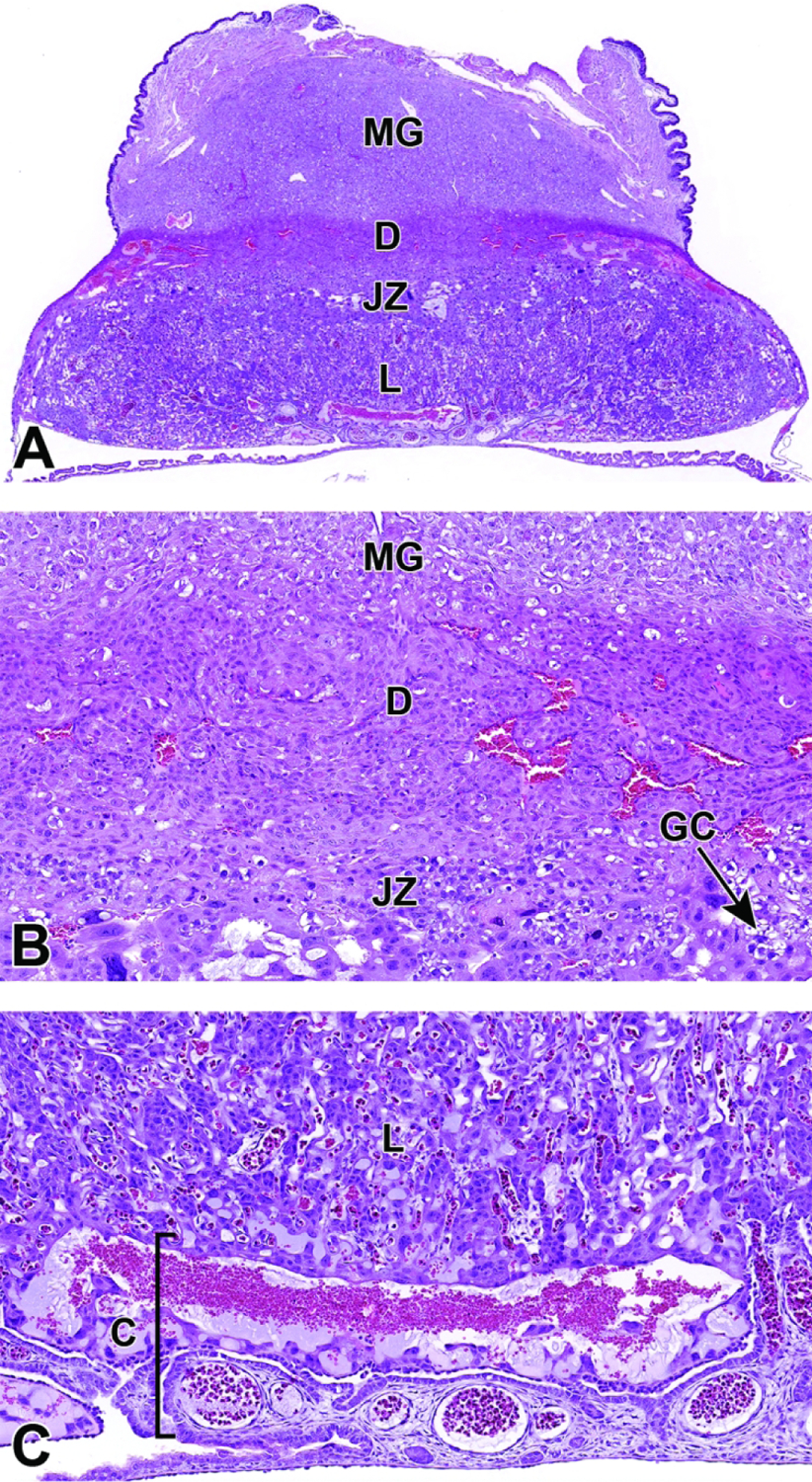 Figure 27.