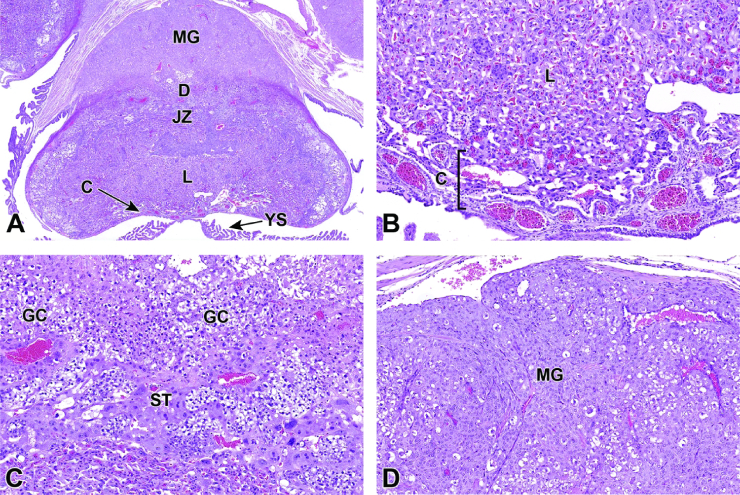 Figure 30.