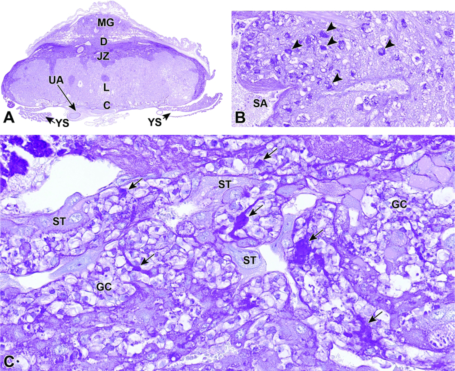 Figure 33.