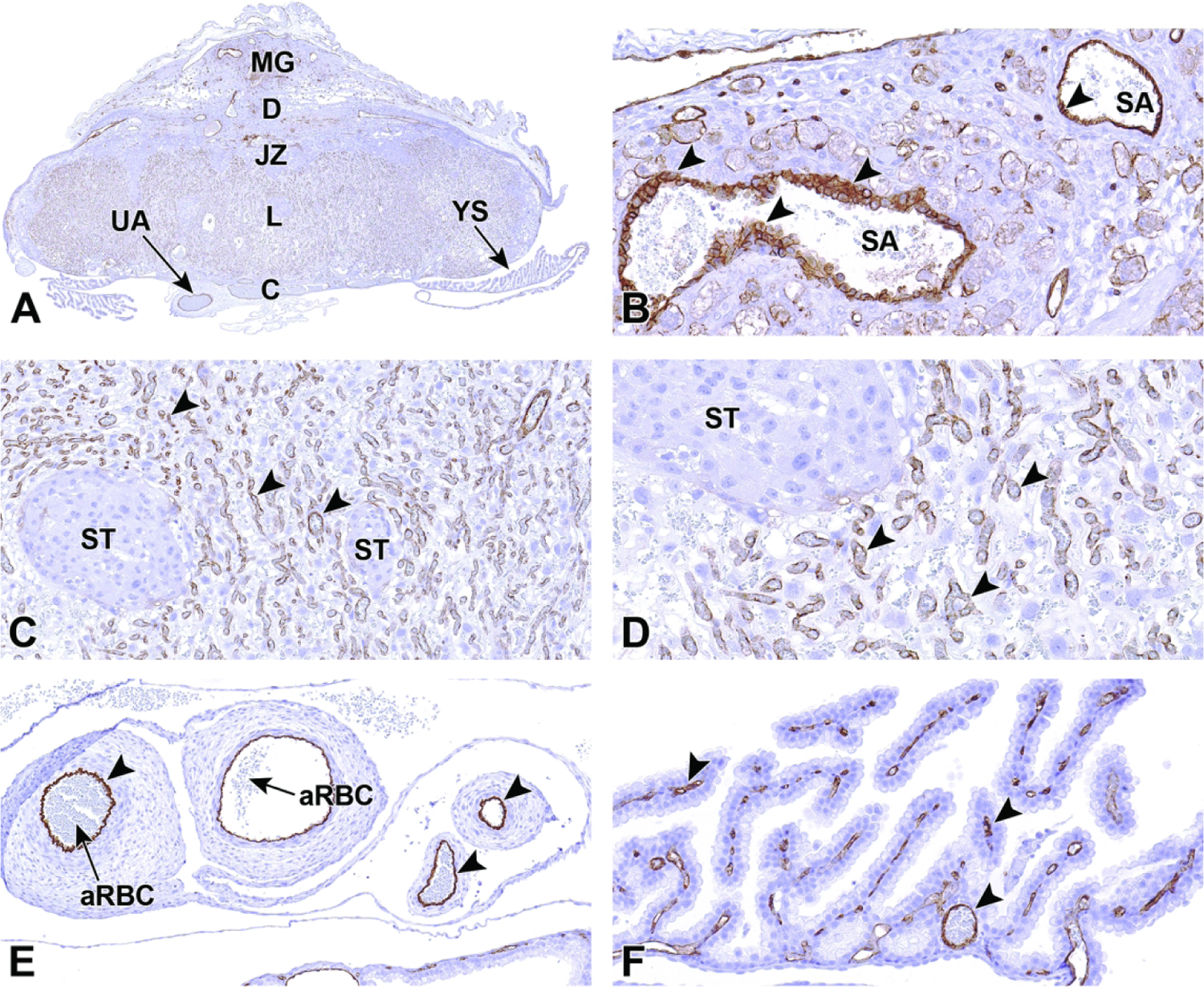 Figure 37.