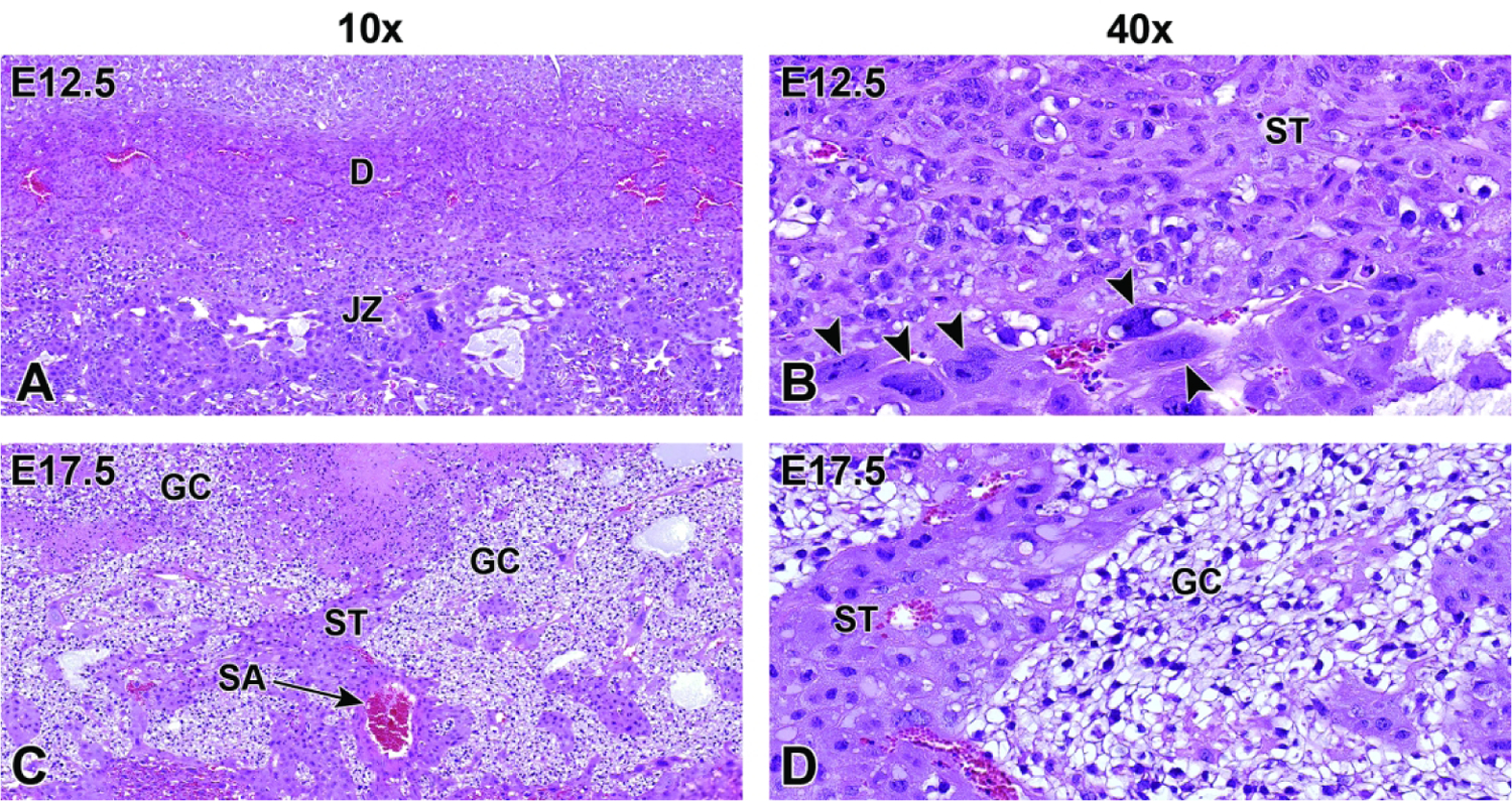 Figure 24.