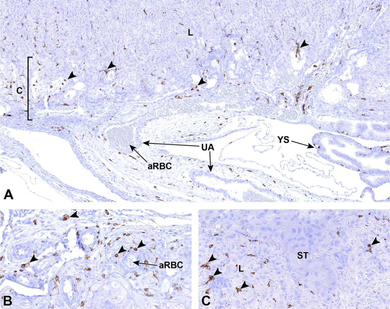 Figure 38.