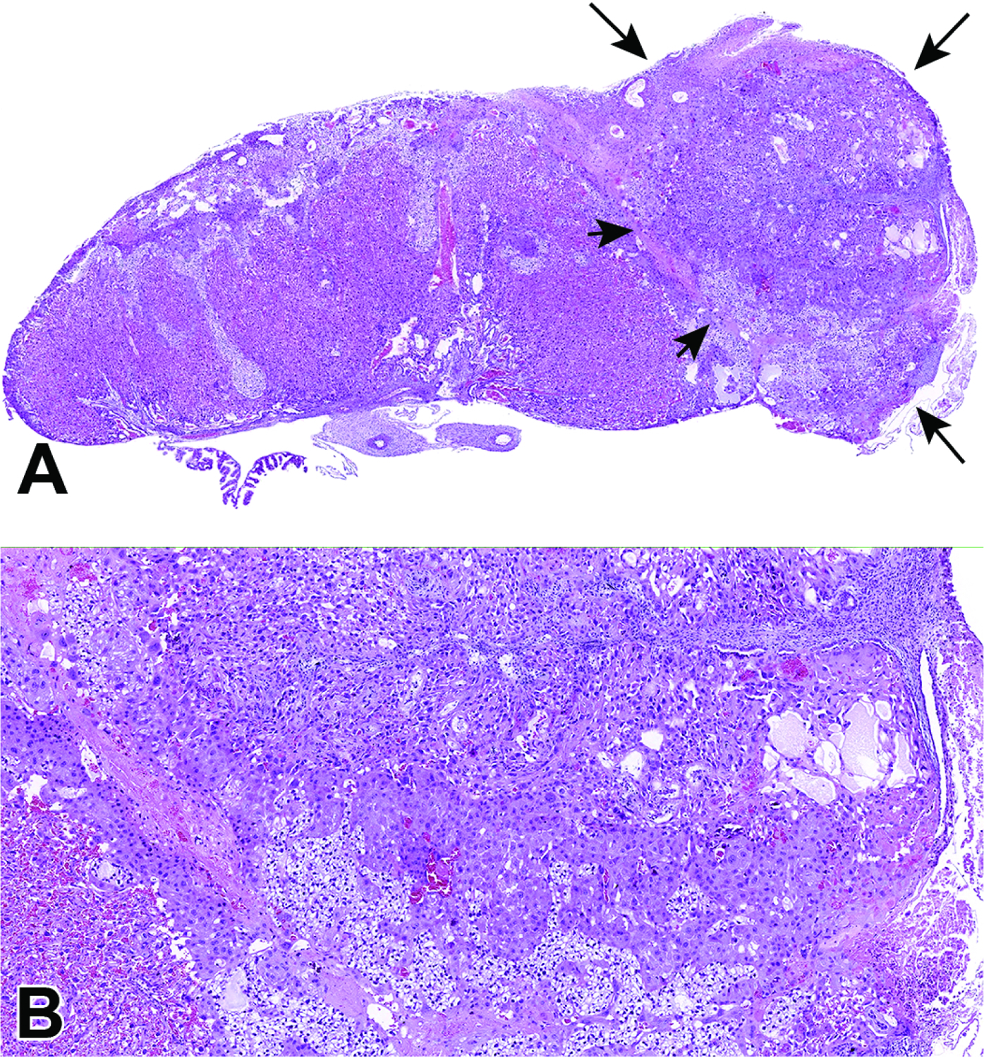 Figure 44.