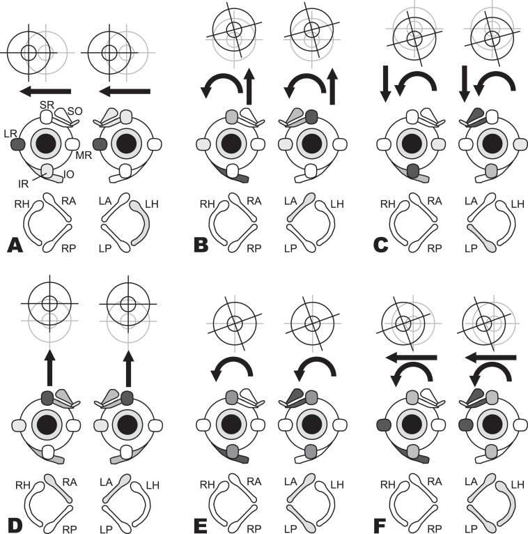 Fig.3