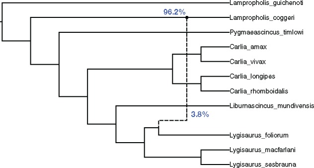 Fig. 5.