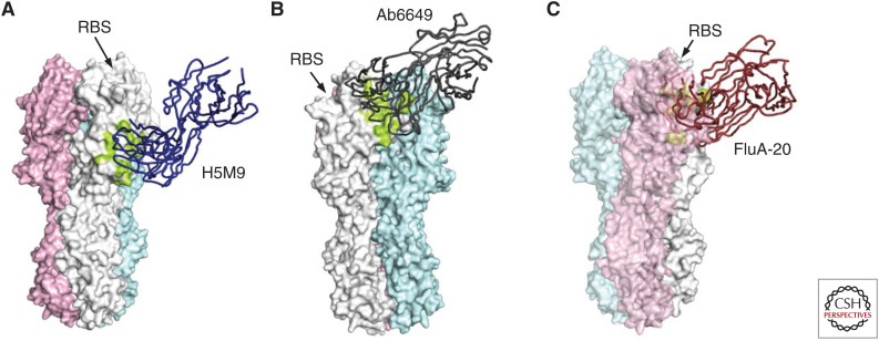 Figure 6.