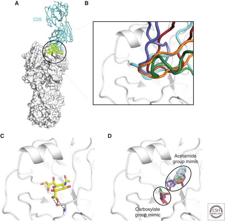 Figure 5.