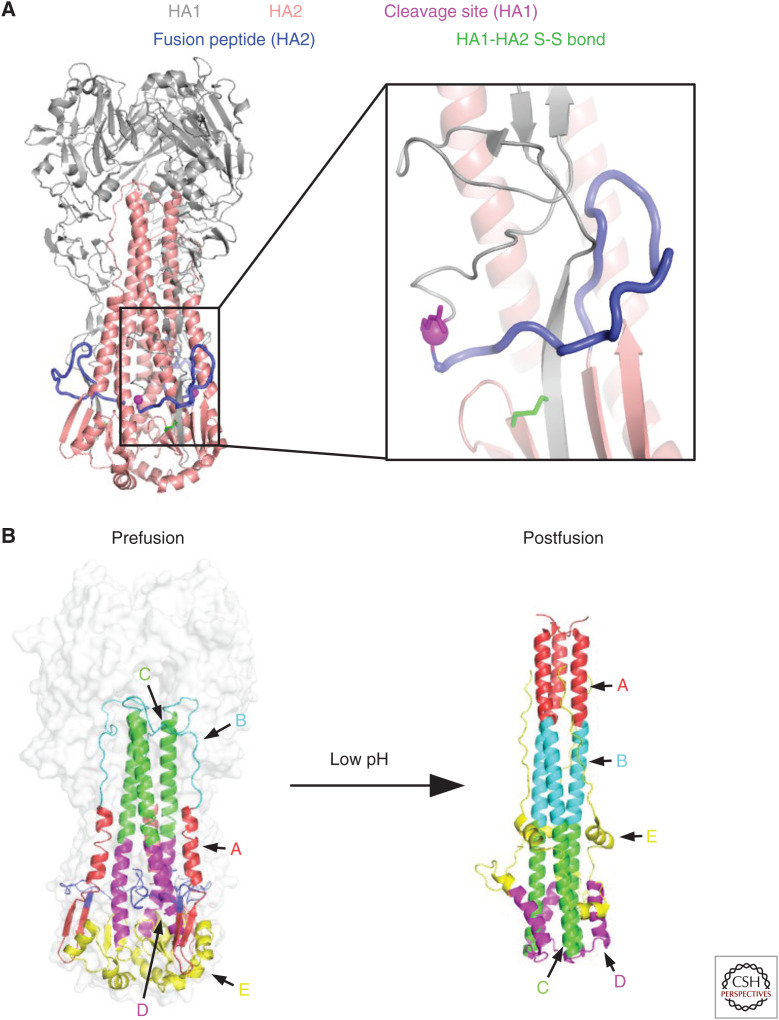 Figure 2.