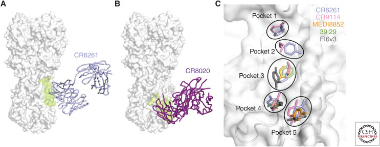 Figure 4.