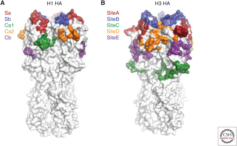 Figure 3.