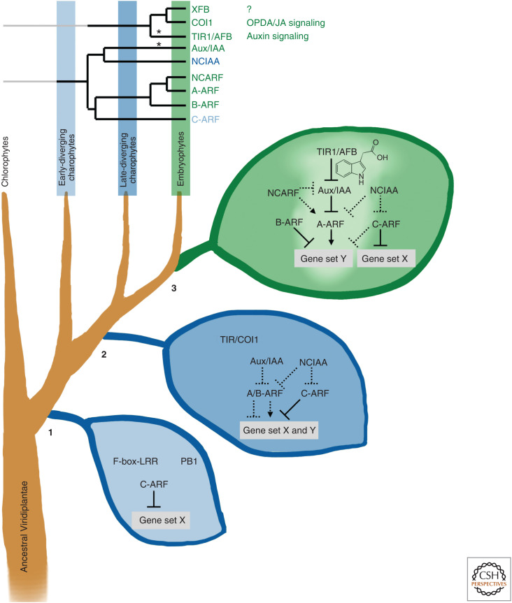 Figure 5.