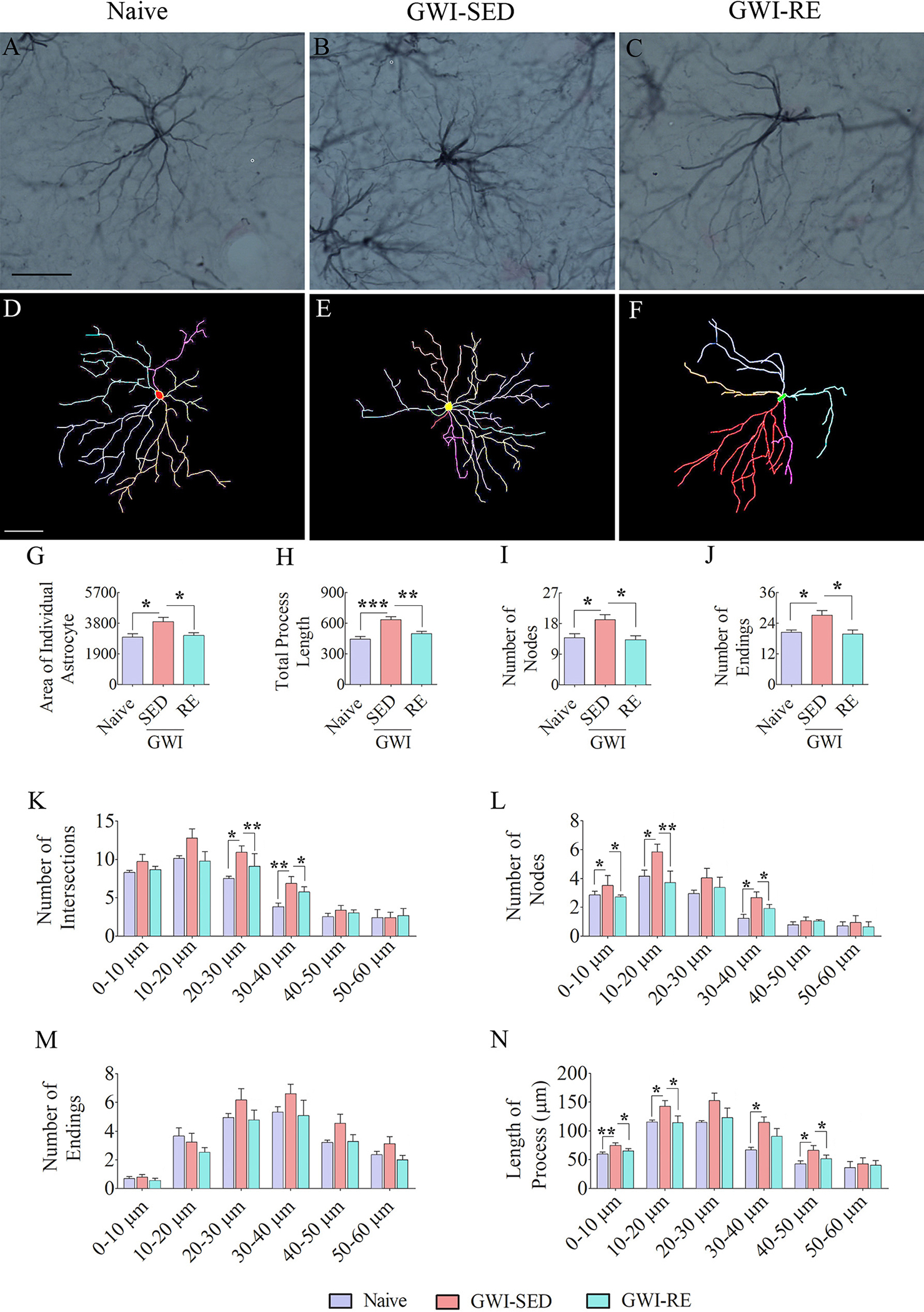 Fig. 6.