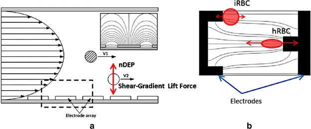 Fig. 3