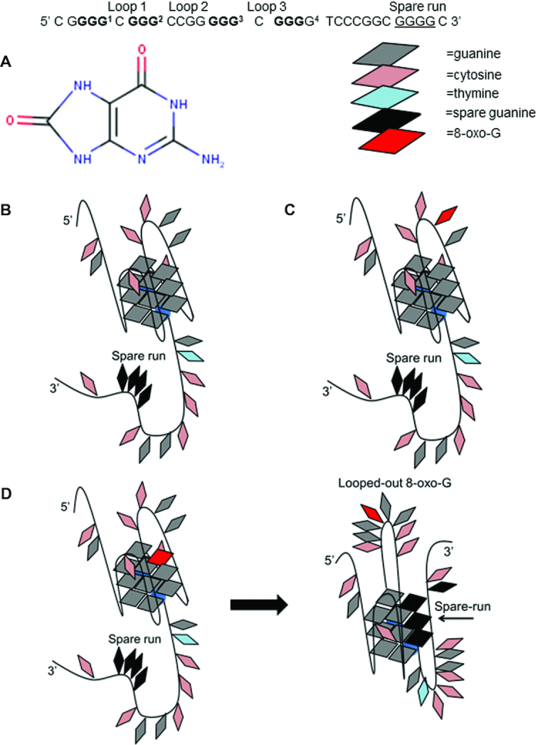 Figure 9.