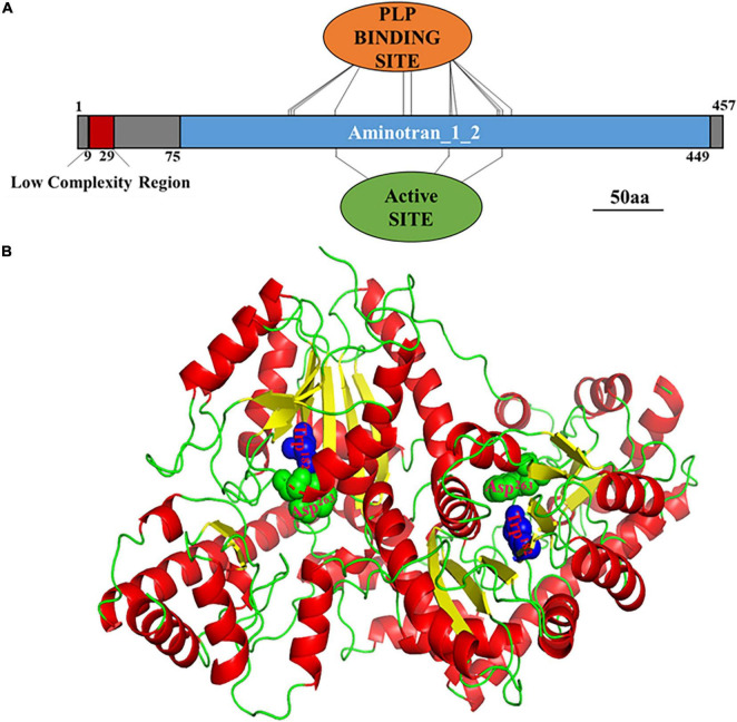 FIGURE 3