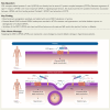 Structured Graphical Abstract