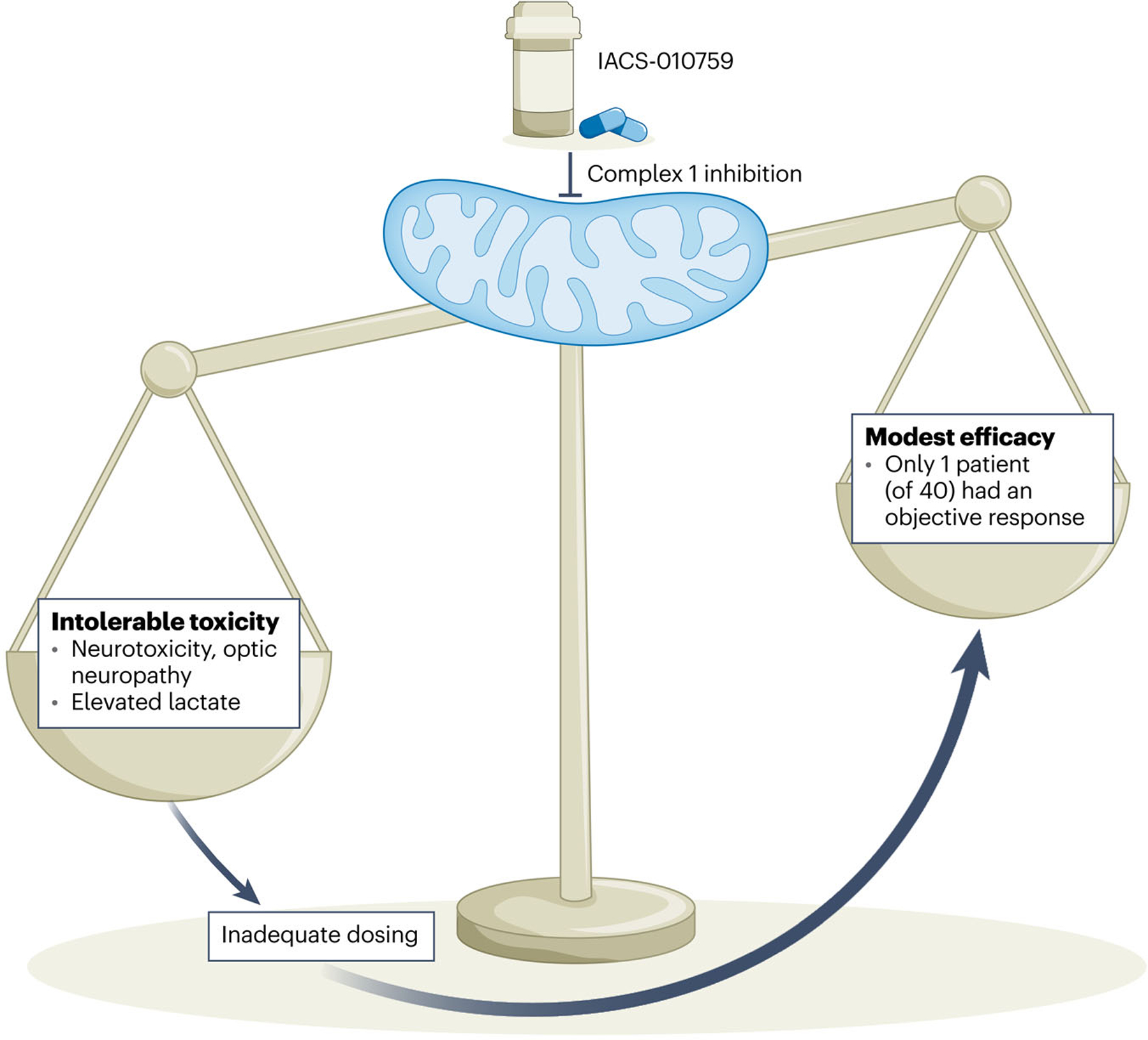 Fig. 1 |