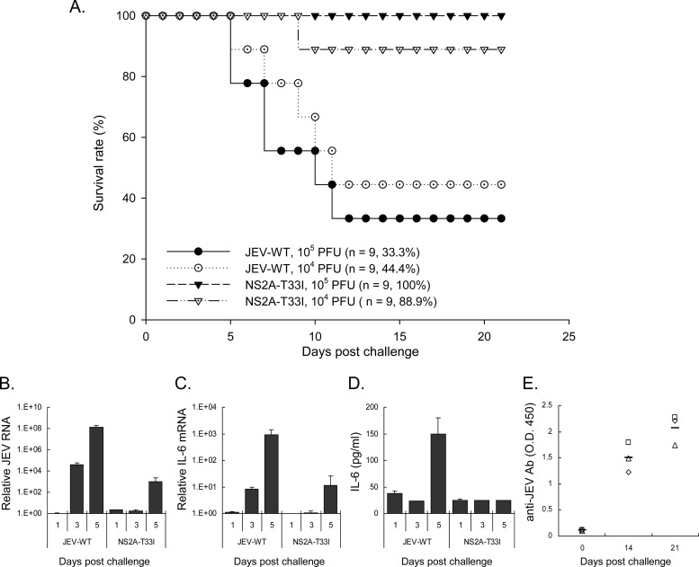 Fig 10