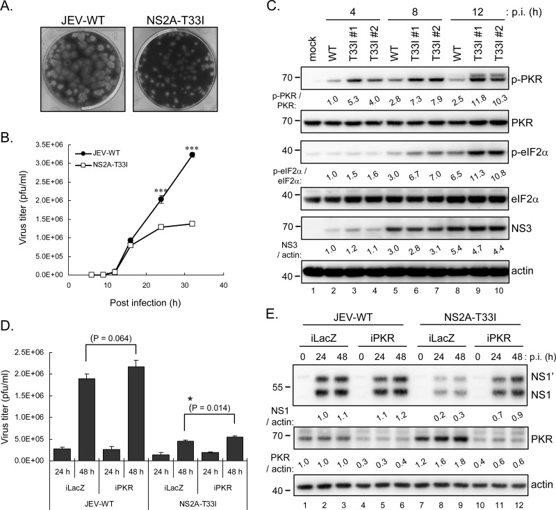 Fig 9