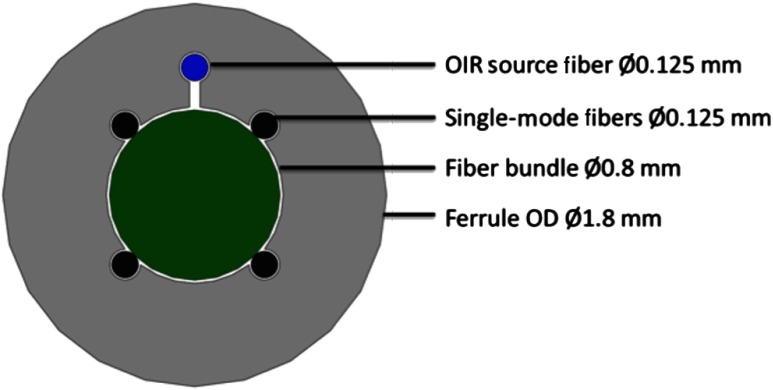 Fig. 3