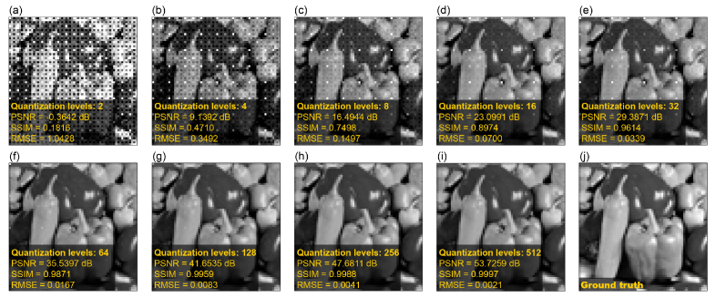 Fig. 10