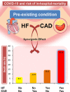 Image, graphical abstract