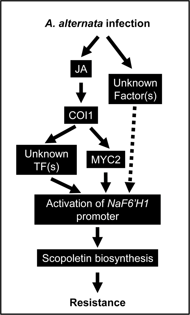 Fig. 8.