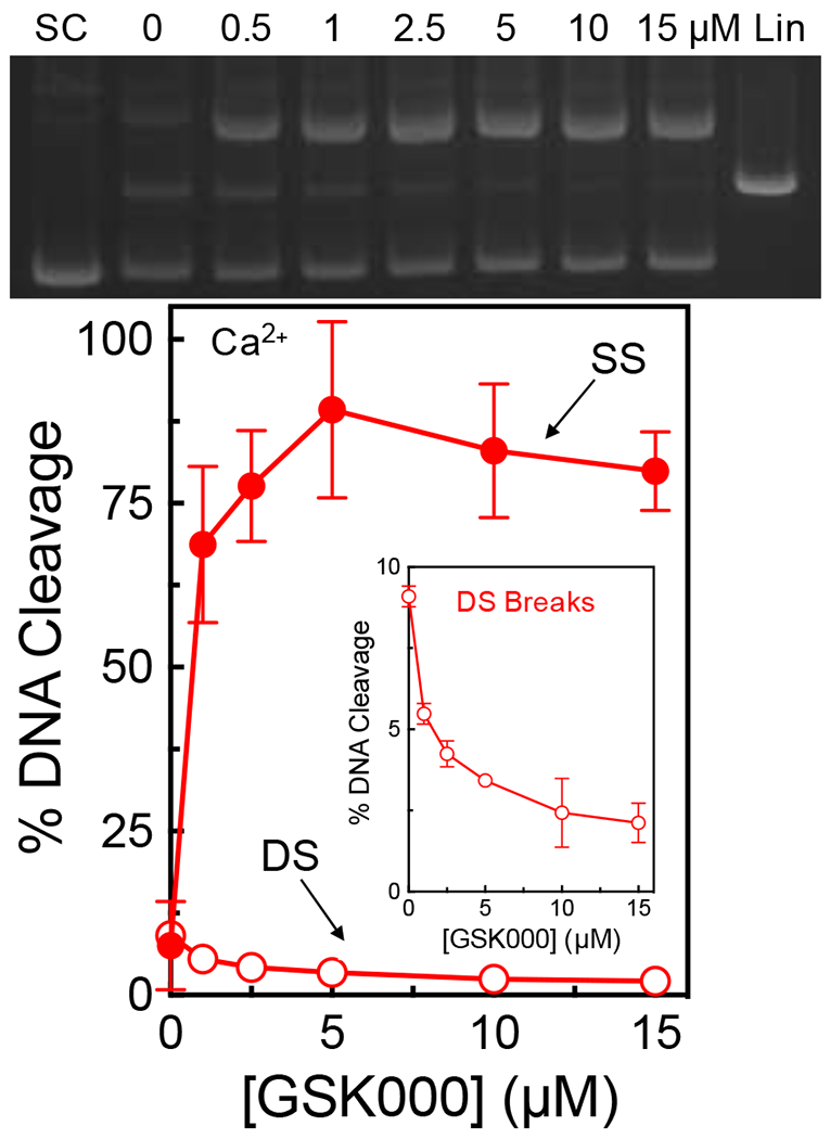 Figure 7.