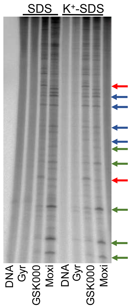 Figure 6.