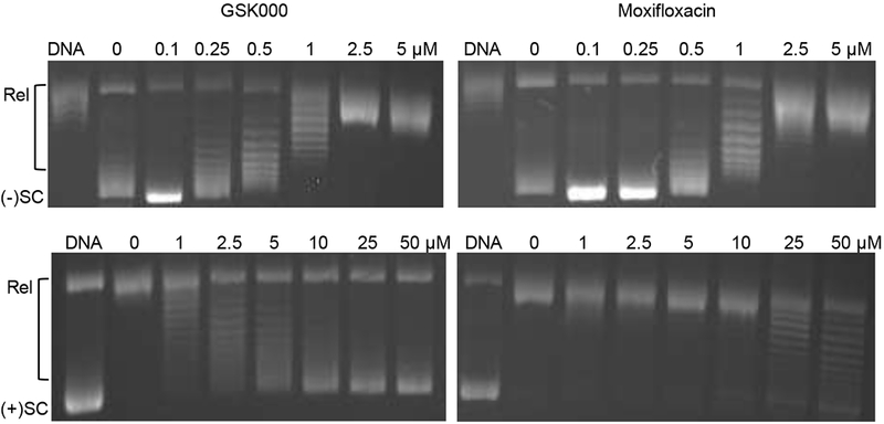 Figure 11.