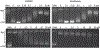 Figure 11.
