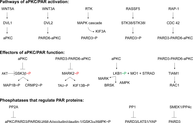 Fig. 4