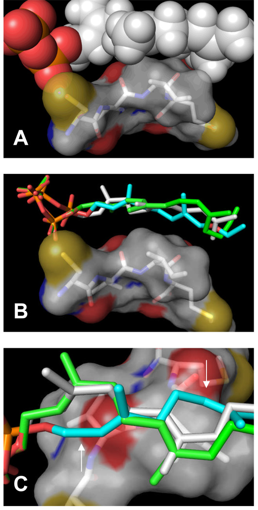 Figure 9