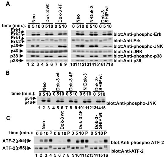 FIG. 7.