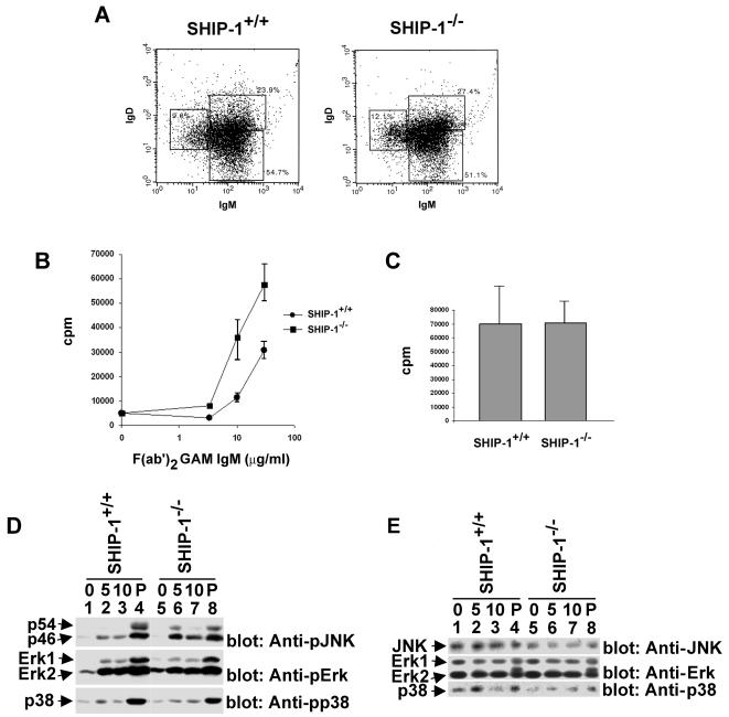 FIG. 8.