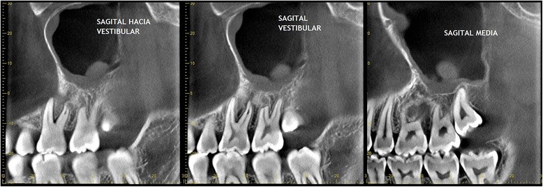 Fig. 7