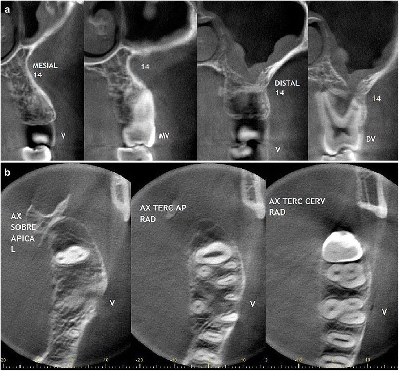 Fig. 8