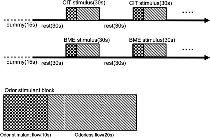 Fig 1.