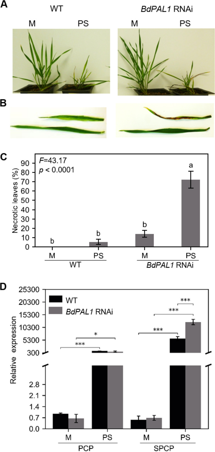 FIG 5