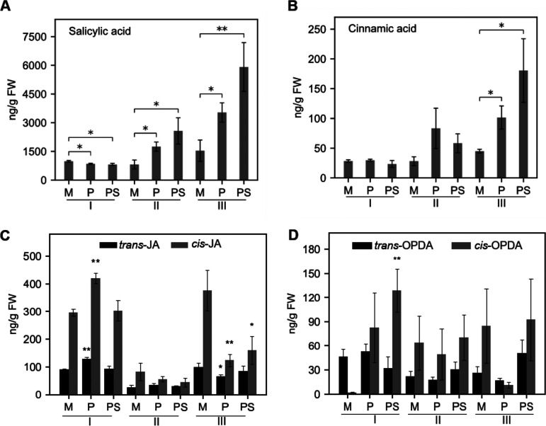 FIG 2