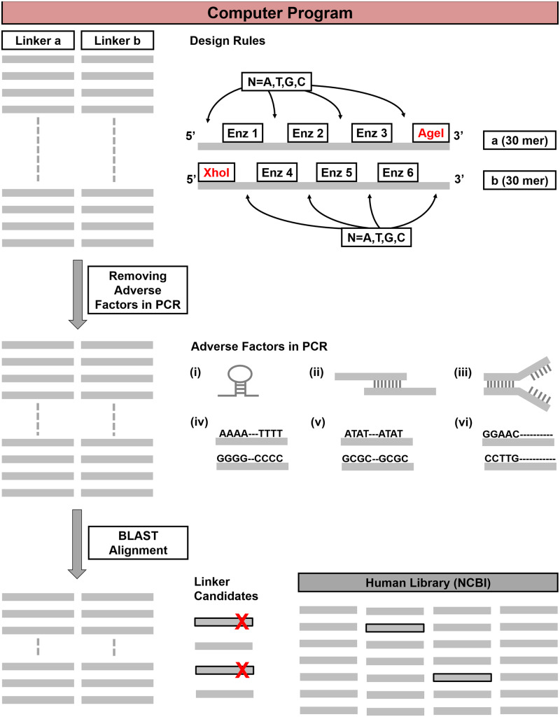 Figure 1: 