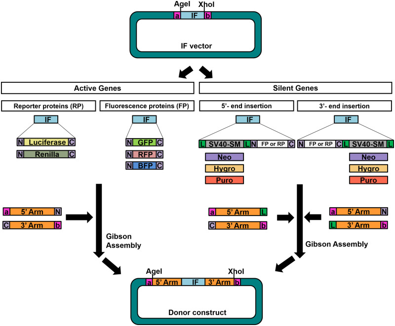 Figure 5: 