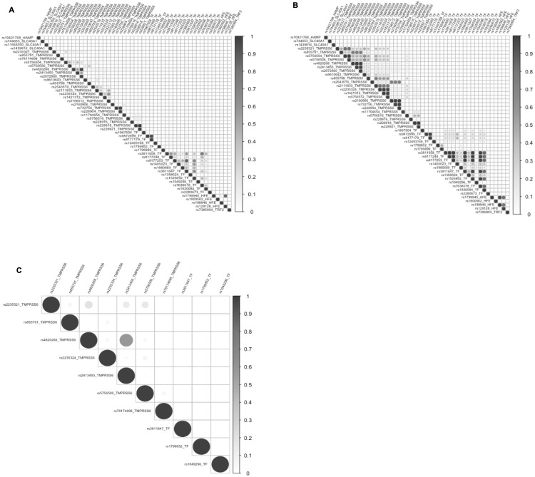 Fig 5